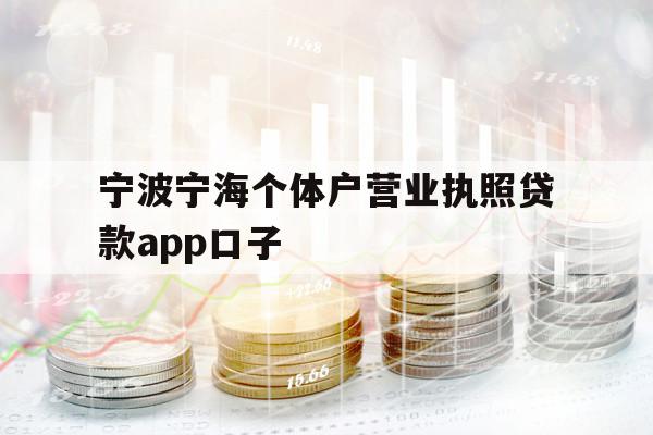 宁波宁海个体户营业执照贷款app口子