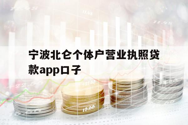 宁波北仑个体户营业执照贷款app口子