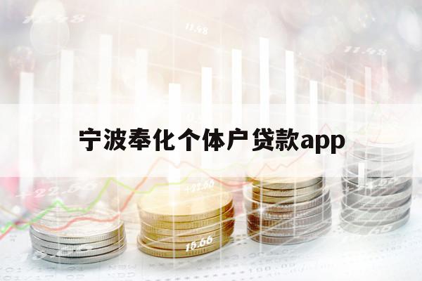 宁波奉化个体户贷款app