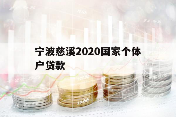 宁波慈溪2020国家个体户贷款